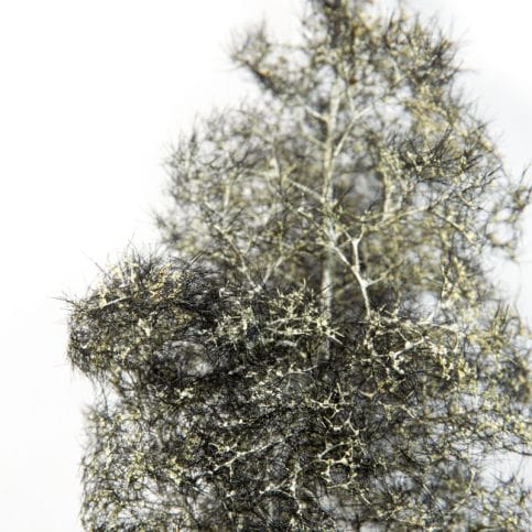 AK Interactive Basing & Dioramas 1/35 Fantasy Bushes - Black-White - Image 2