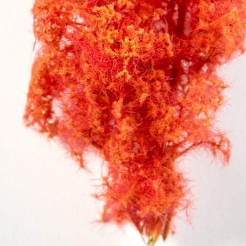 AK Interactive Basing & Dioramas 1/35 Fantasy Bushes - Red-Orange - Image 3