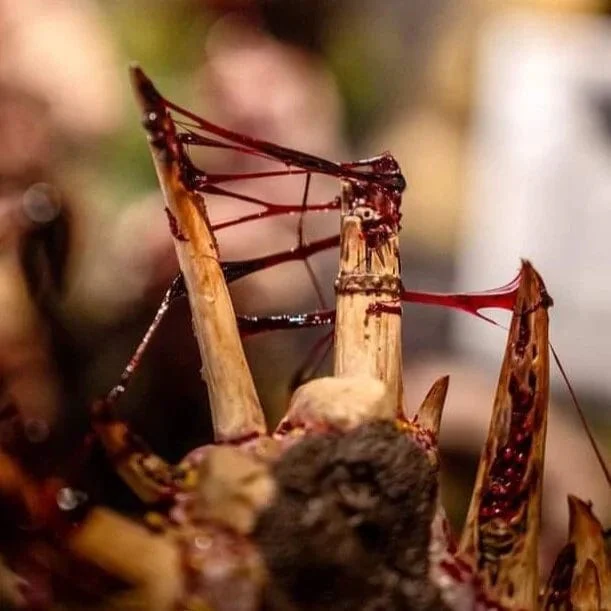 Dirty Down Gore effect - Ultra Realistic Blood Effects - Image 2