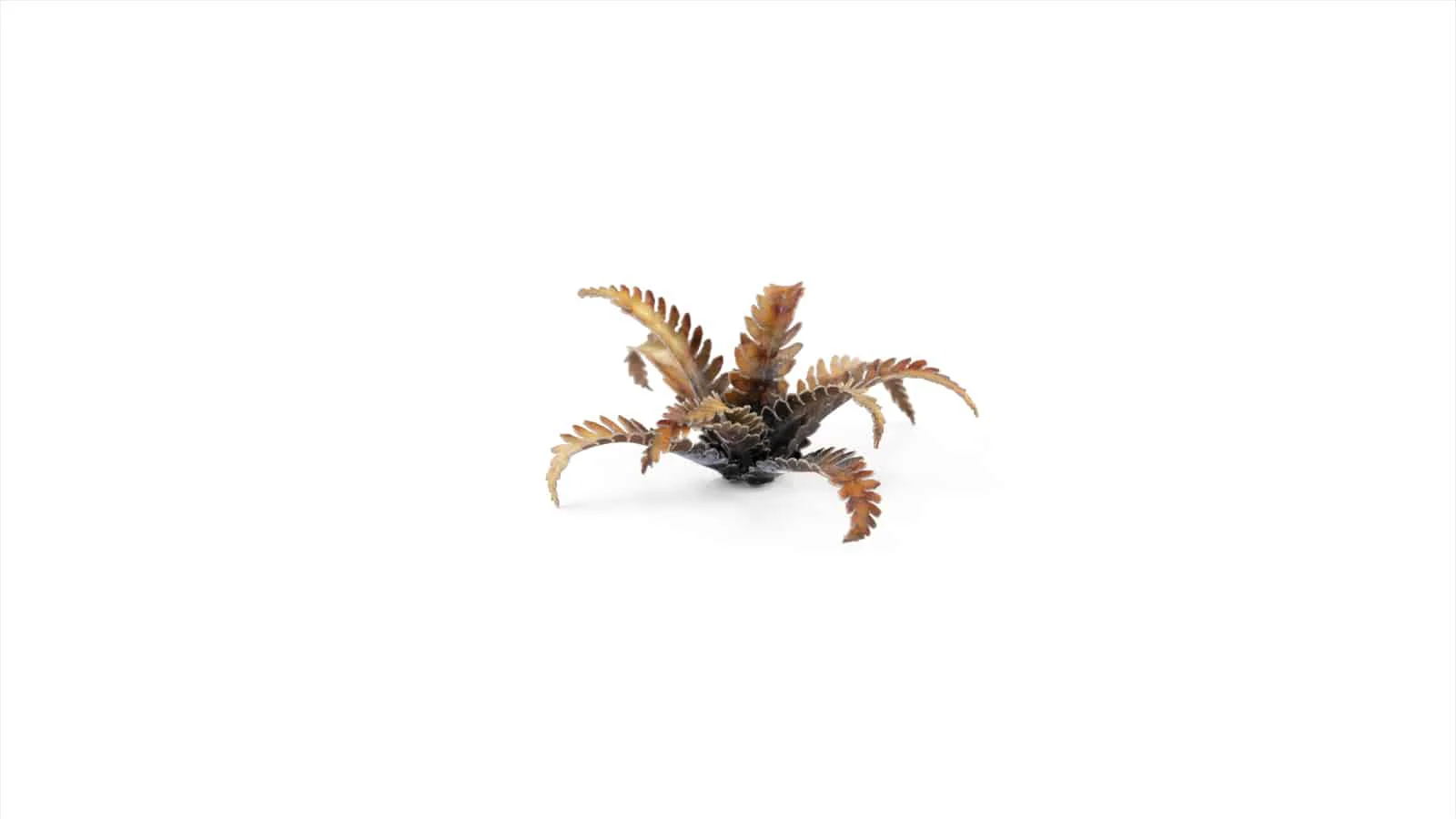 Gamer's Grass Laser Plants - Alien Fern - Image 4