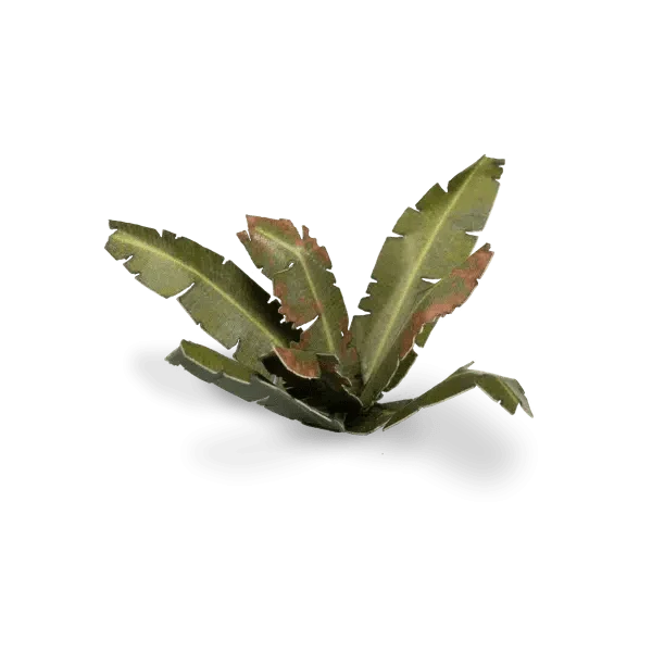 Gamer's Grass Laser Plants - Banana Tree - Image 4