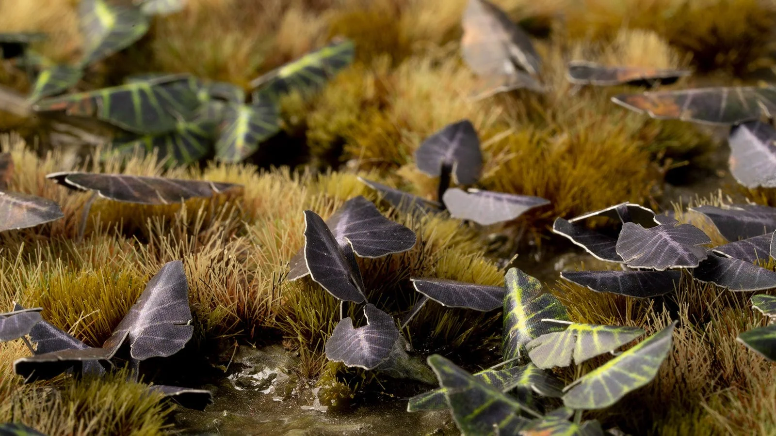 Gamer's Grass Laser Plants - Black Magic Taro - Image 2