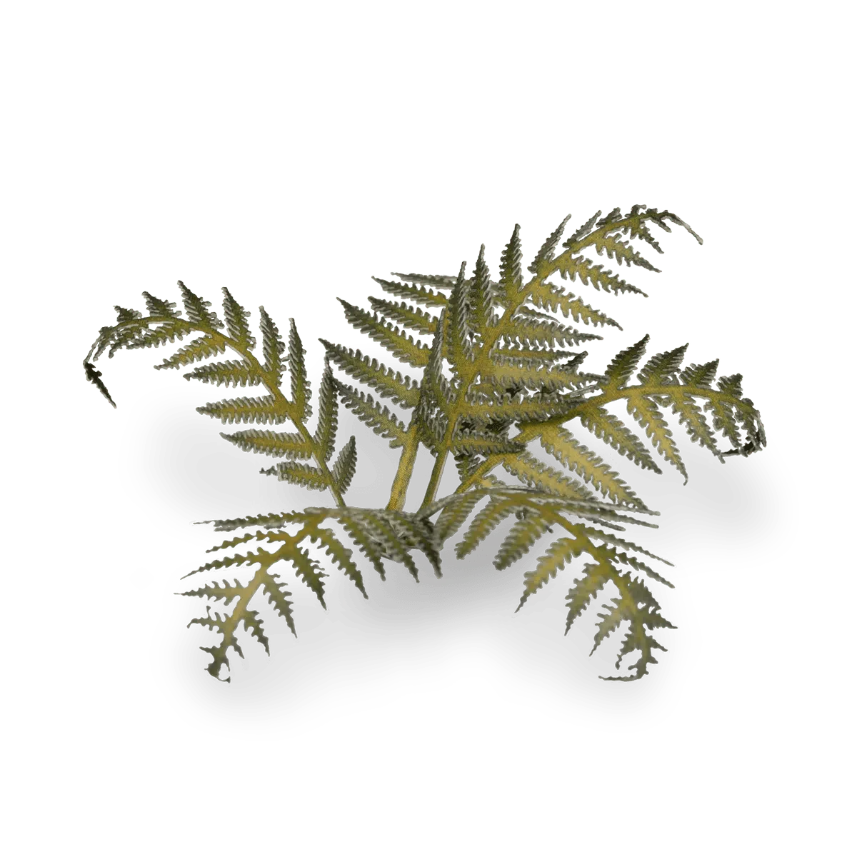 Gamer's Grass Laser Plants - Bracken - Image 4