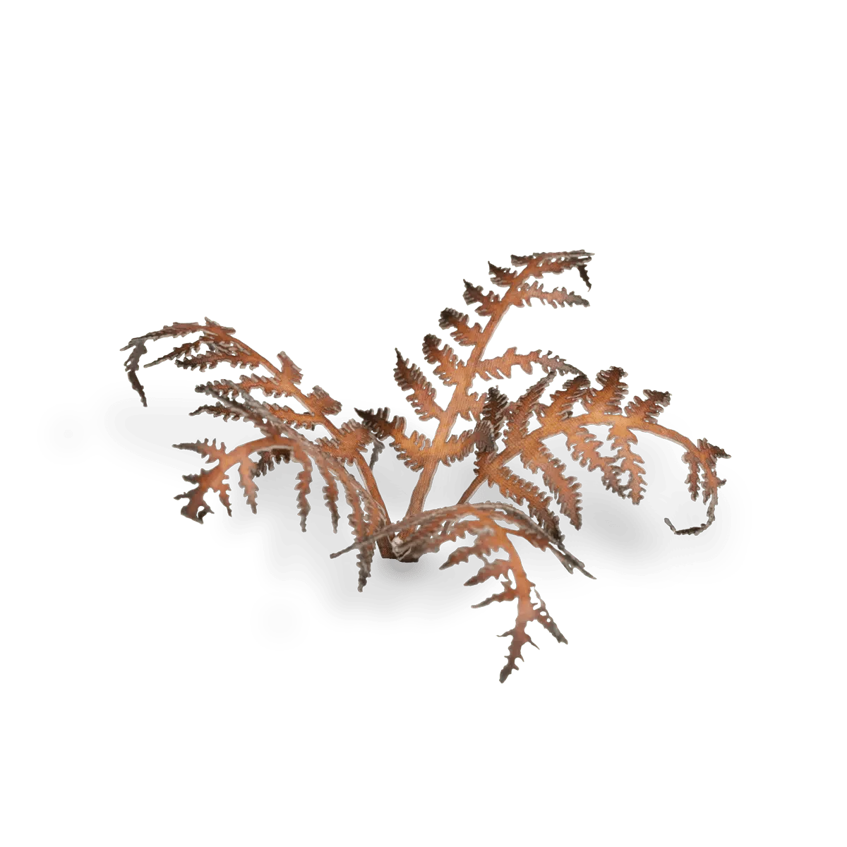 Gamer's Grass Laser Plants - Dry Bracken - Image 5