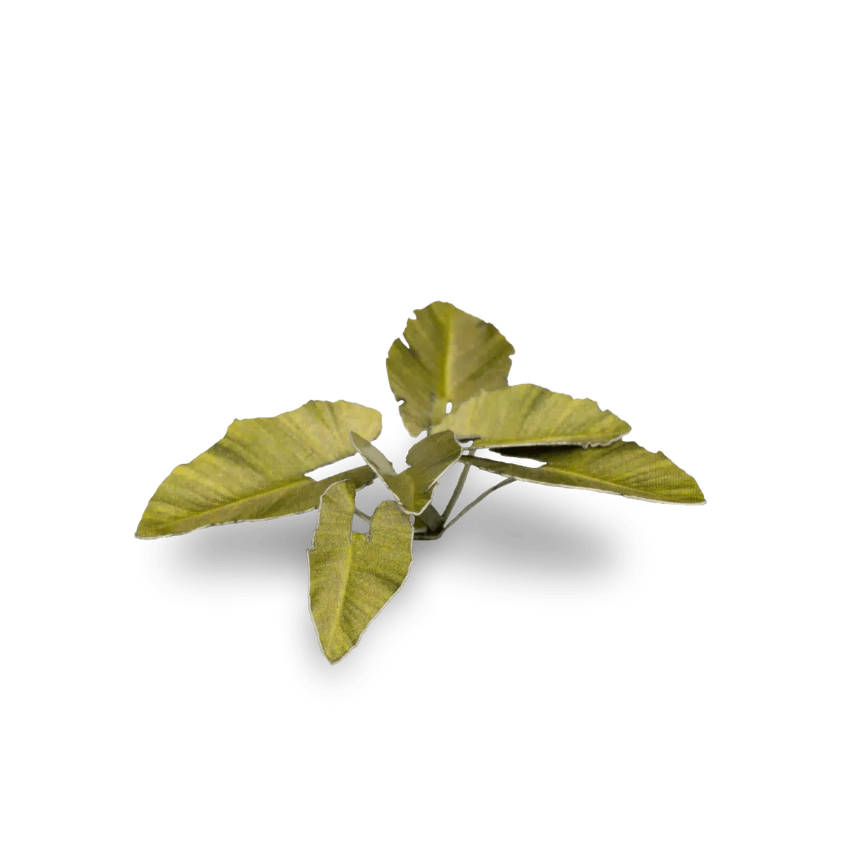 Gamer's Grass Laser Plants - Elephant Ear - Image 5