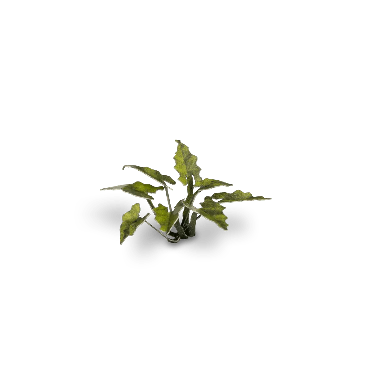 Gamer's Grass Laser Plants - Lords-and-Ladies - Image 4