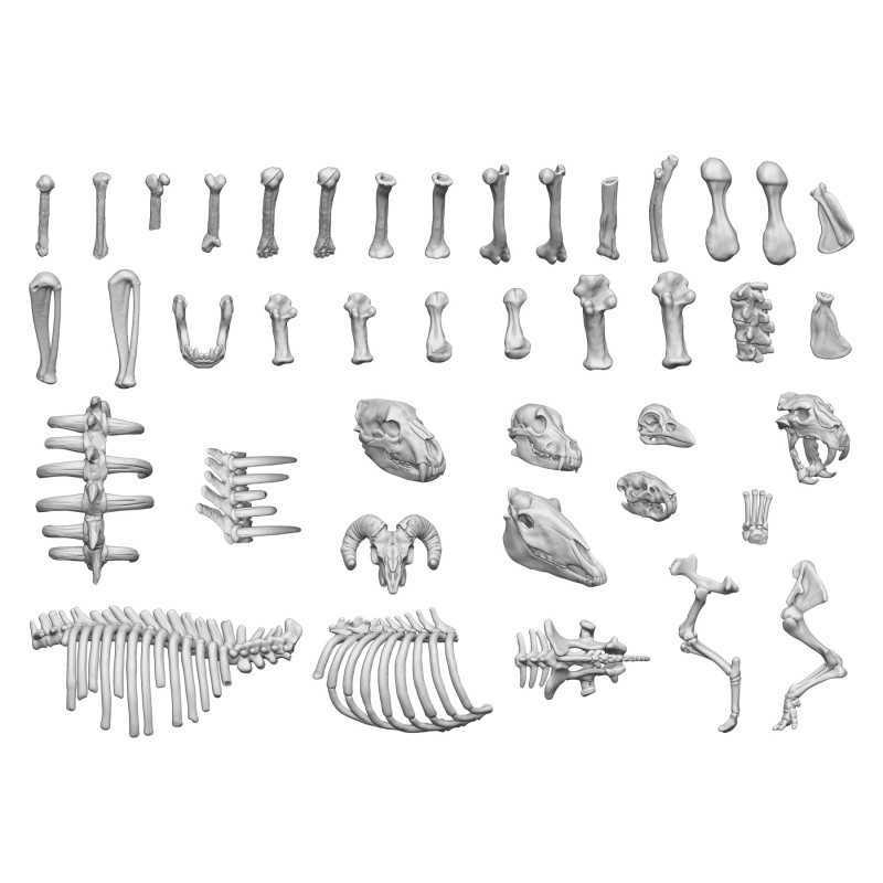 GSW Resin Basing Set - Animal Bones 1:48 - Image 3