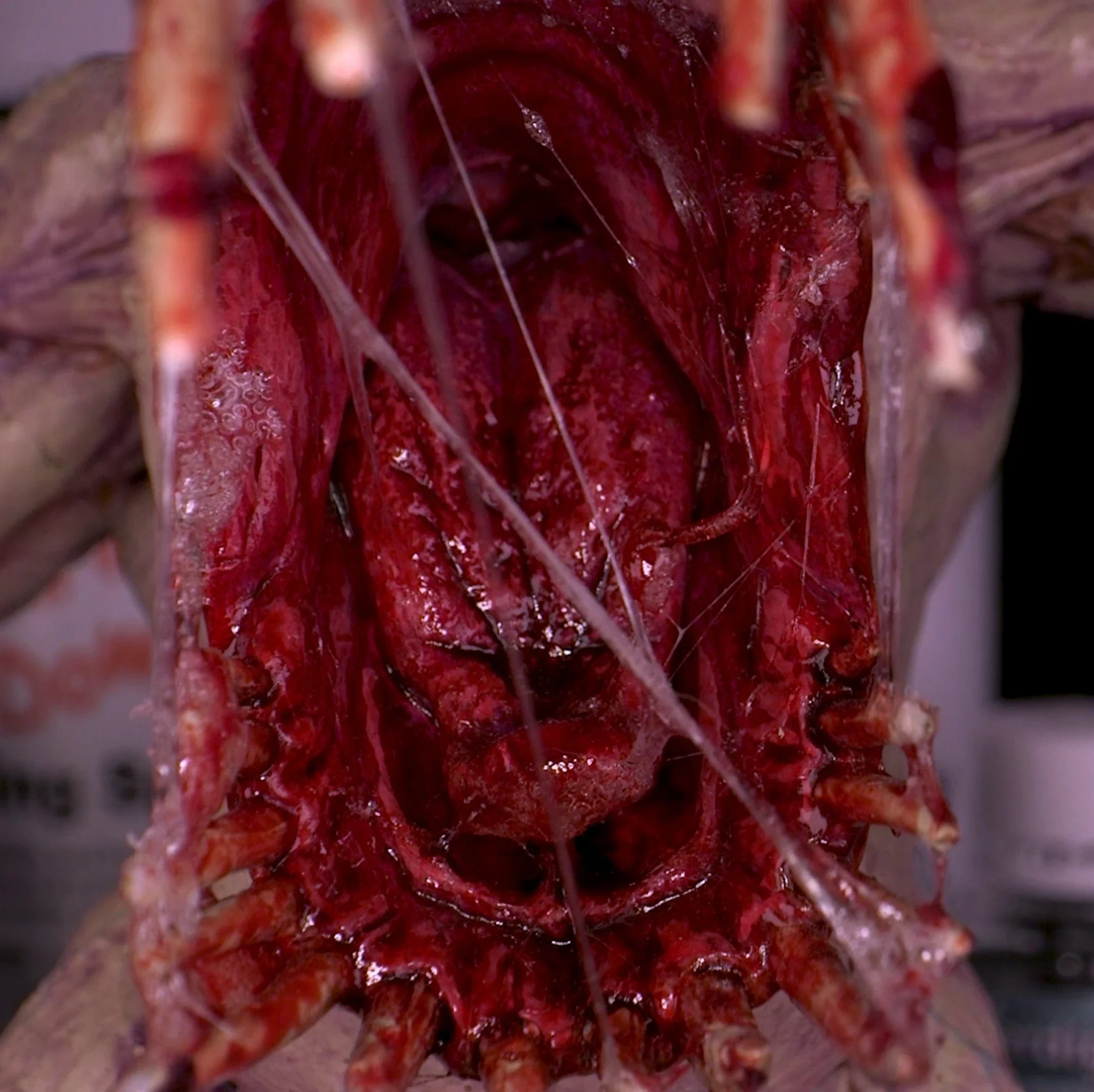 Dirty Down Snot effect - Ultra Realistic Snot Effects - Image 2